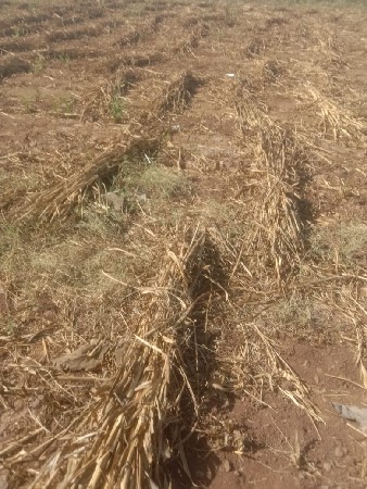 સાર બેસવાની છે