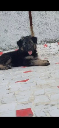 थंबनेल 2