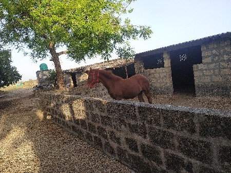 थंबनेल 3