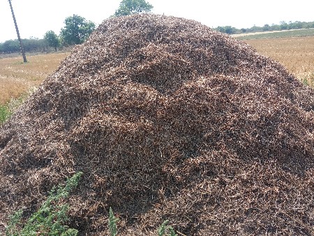 મગફળી નો ફુકો વેચવાનો છે