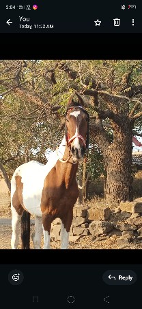 થંબનેલ 2