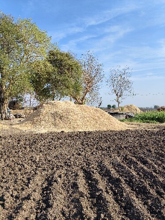 ચણાનું ખારીયુ વેચવાનું છે