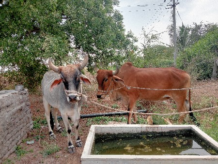 થંબનેલ 3