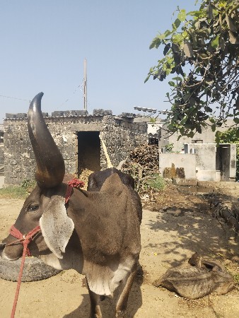 थंबनेल 2