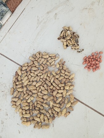 દેવશીભાઈ