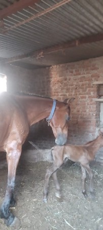 થંબનેલ 2