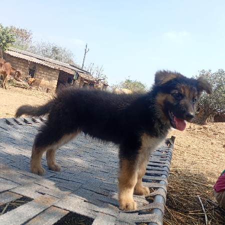 थंबनेल 2