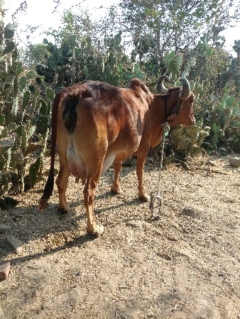 થંબનેલ 3