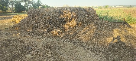 માંડવી નો ભુકો વેસવાનો છે