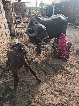 थंबनेल 2