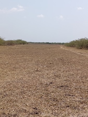 આ જમીન વેચવાની છે