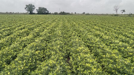 જમીન વેચવાની છે