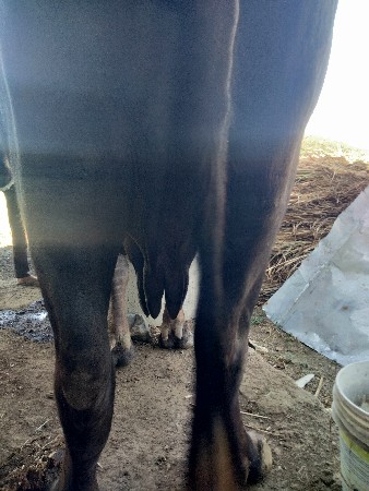 થંબનેલ 2