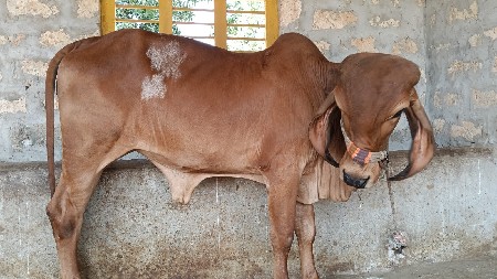 थंबनेल 2