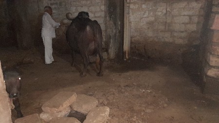 થંબનેલ 2