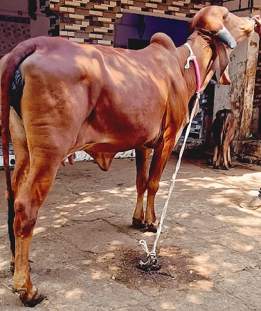 થંબનેલ 3