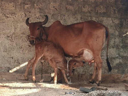 थंबनेल 3