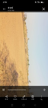 નાના વિસાવદર ગામની 25 વીઘા વાડી