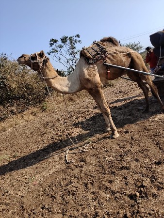 થંબનેલ 2