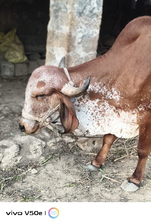 थंबनेल 2