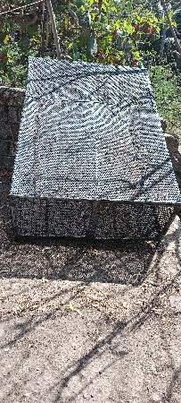 6 ફૂટ લંબાઈ