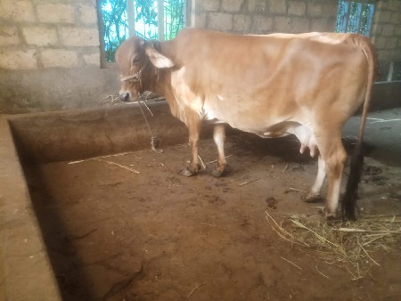 थंबनेल 2