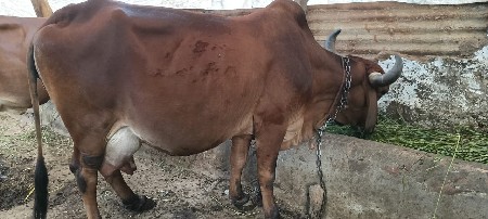 થંબનેલ 2