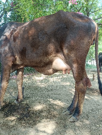 थंबनेल 2