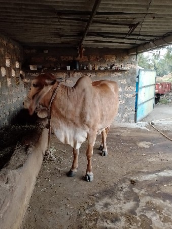 थंबनेल 2