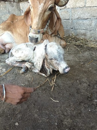 થંબનેલ 3