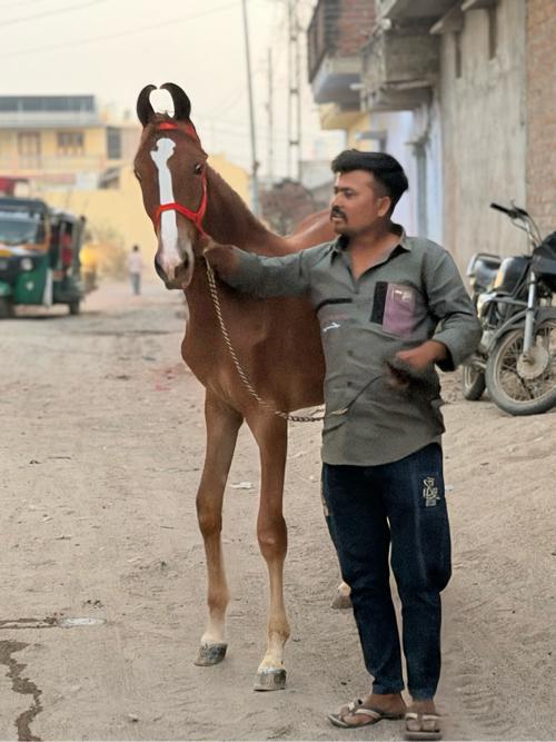 थंबनेल 2