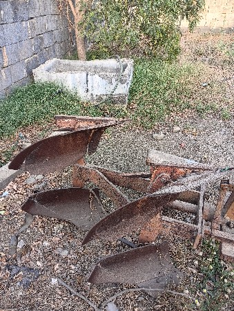 માલદે ભાઈ ગોજીયા