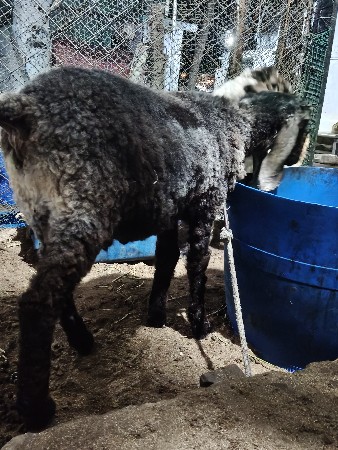 थंबनेल 3