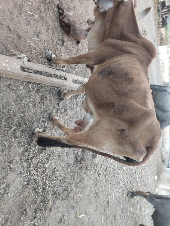 थंबनेल 3