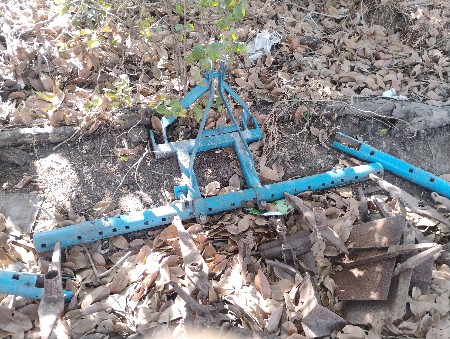 થંબનેલ 3