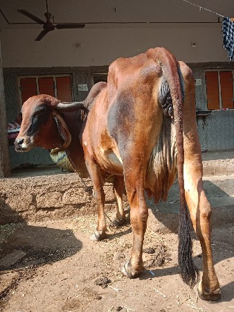 थंबनेल 2