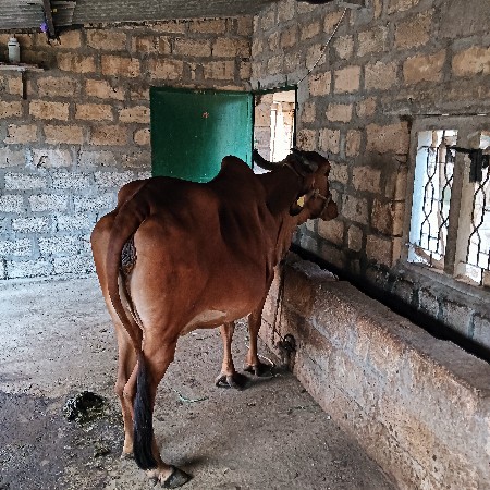 थंबनेल 2