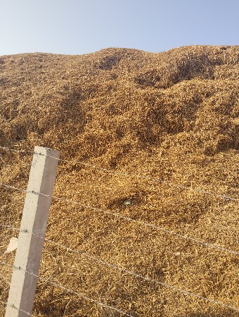 મગફળી નો પાલો વેચવાનો છે