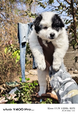 थंबनेल 3