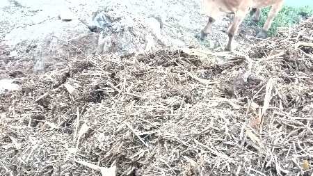 ખાતર વેચવાનો