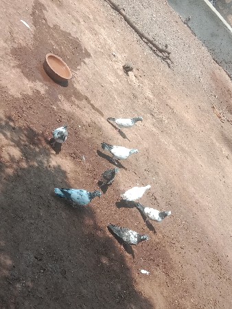 થંબનેલ 3