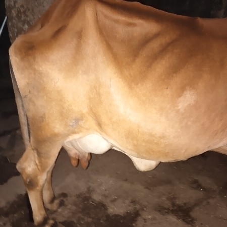 थंबनेल 3