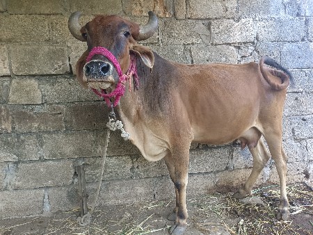 थंबनेल 2