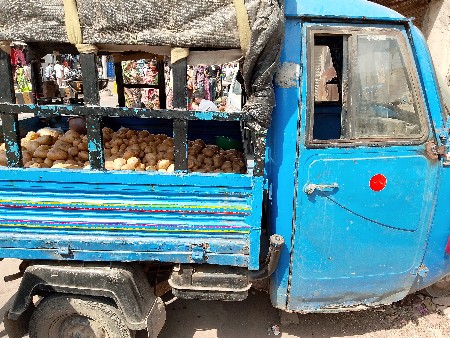 થંબનેલ 3