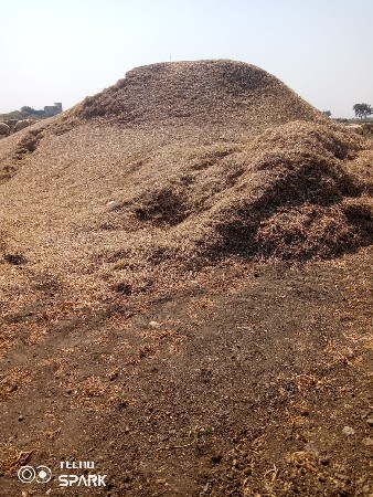 દેસી સણા પીરીયા  નુ ખારીયુ  છે