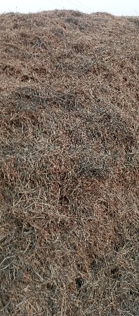 માનવી નો ભૂકો