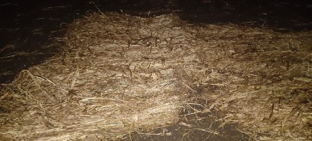 નીરણ  વેચવાની છે 4 વિઘા