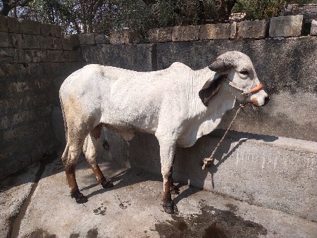 थंबनेल 3