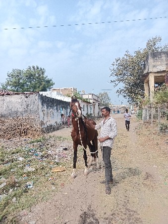 थंबनेल 3