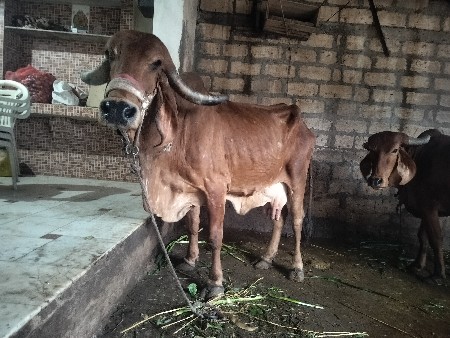 थंबनेल 3